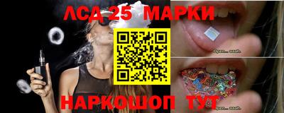прущие грибы Брянск