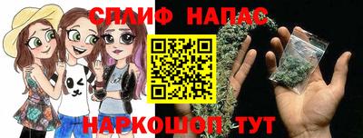 прущие грибы Брянск