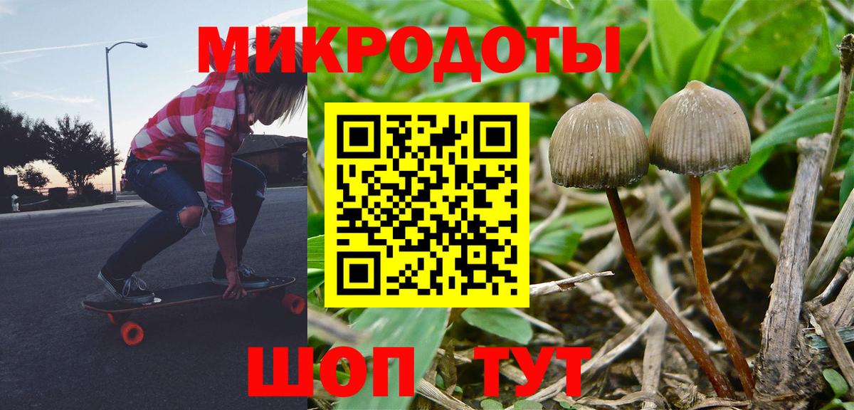 Псилоцибиновые грибы Psilocybe  Псилоцибиновые грибы Psilocybe  Вход с VPN  Ангарск 